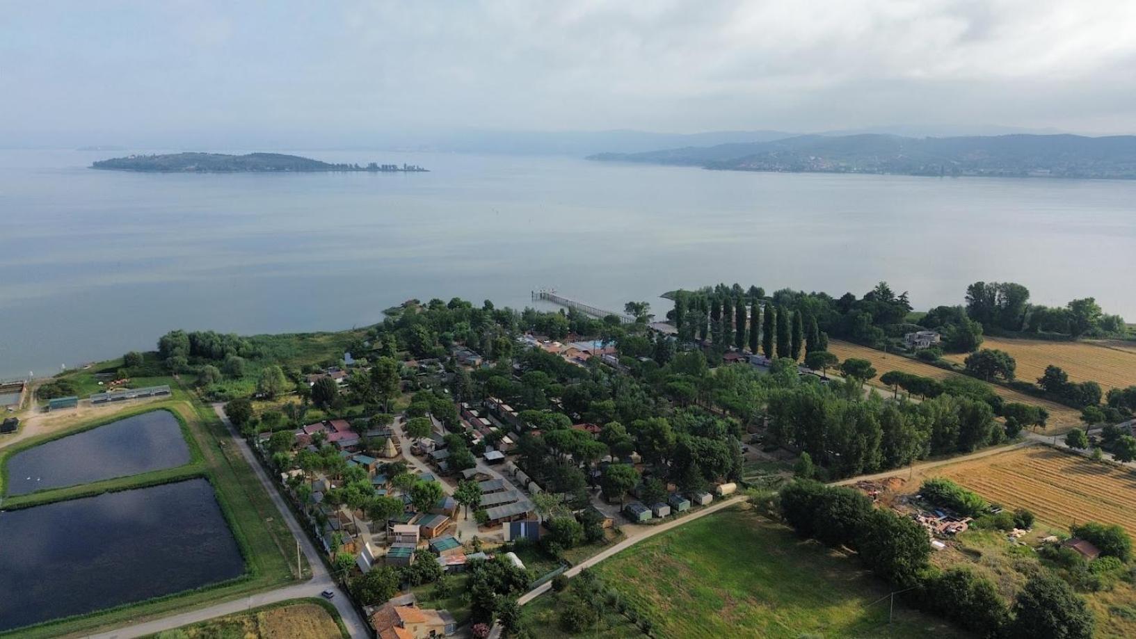 מאג'ונה Trasimeno Glamping Resort מראה חיצוני תמונה